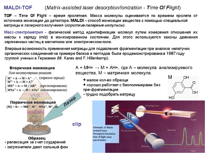 MALDI-TOF (Matrix-assisted laser desorption/ionization - Time Of Flight) TOF – Time Of Flight –